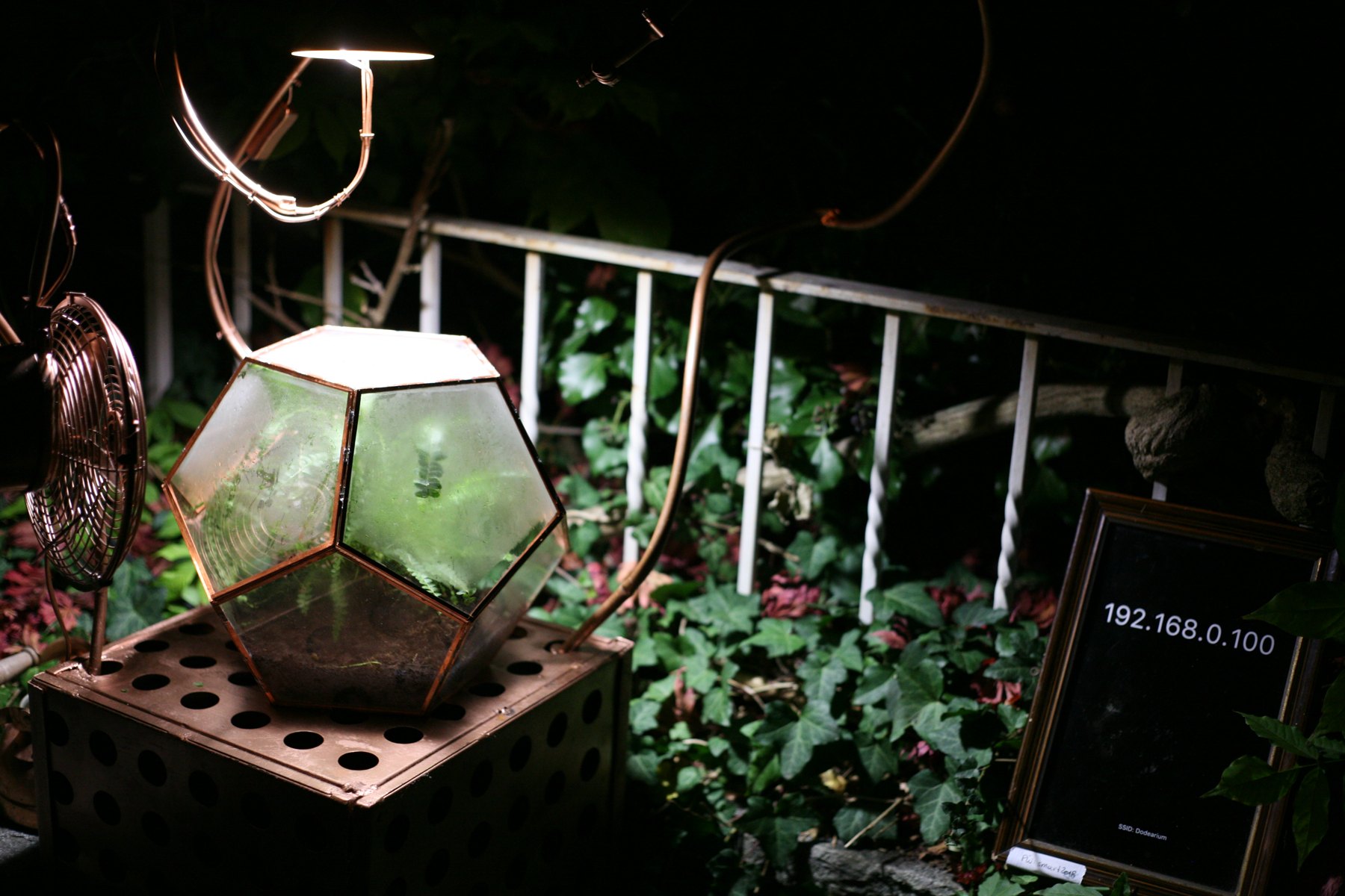 Ein Farn in einem beleuchteten Dodekaeder, umgeben von Lampe, Ventilator und Bewässerung im nächtlichen Garten
